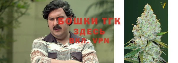 крисы Каменск-Шахтинский