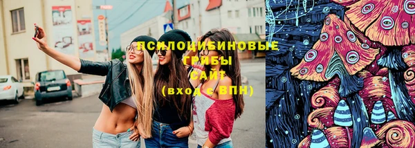 крисы Каменск-Шахтинский