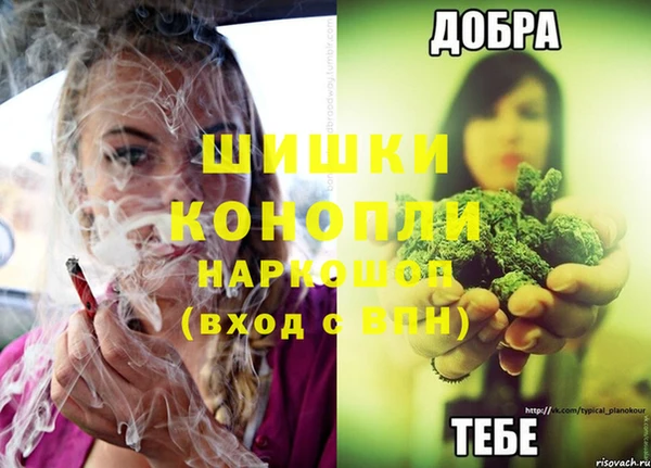 крисы Каменск-Шахтинский