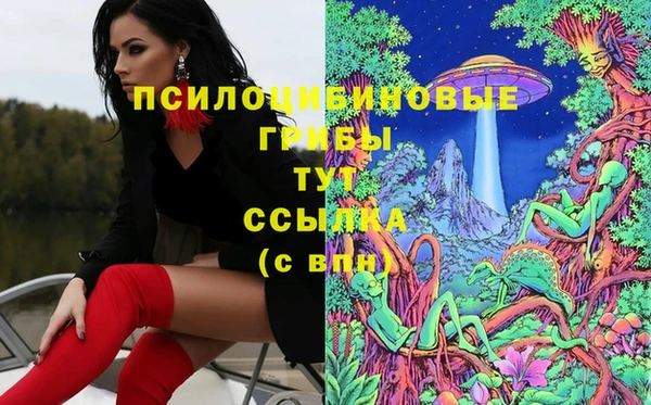 крисы Каменск-Шахтинский