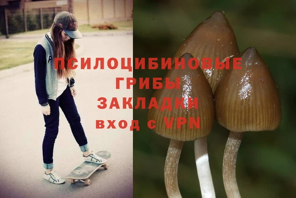 мет Каменногорск